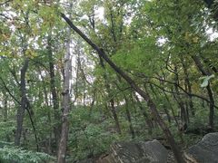 -北京上方山国家森林公园
