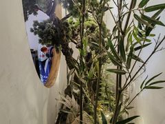 -真定郝家排骨(正定县总店)