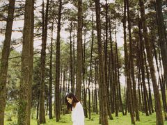 -石棉县孟获城