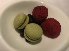 -蝶舍·MAISON PAPILLON