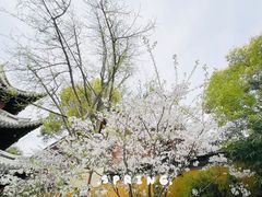 -龙华寺