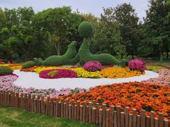 -上海共青森林公园