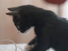 -苏州市立医院(白塔院区)