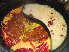 -苏州金科大酒店