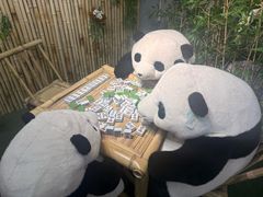 -重庆十八梯传统风貌区