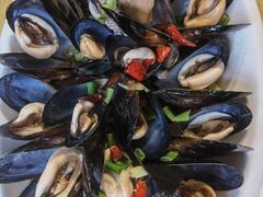 葱油淡菜-阿弟特色海鲜餐厅·大排档(平潭店)