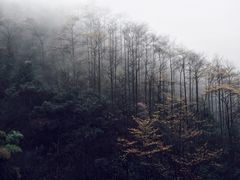 -藏龙百瀑风景区