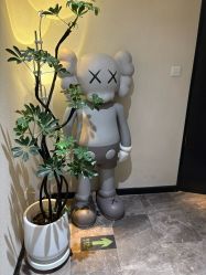 -玛莲朵·海菲秀冰珀科