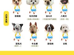 -翊宠yipet猫狗购宠庄园