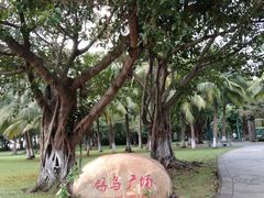 -万绿园