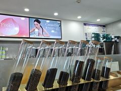 -雾与山茶(大禹城店)