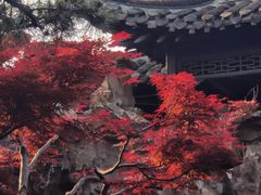 -个园