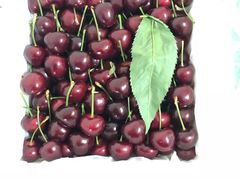 -上海龙吴水胜海发市场