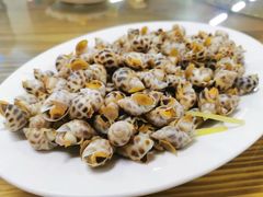 爆炒花甲螺-板桥海鲜广场(文明东店)
