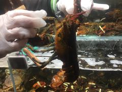 -吾悦广场(南京鼓楼店)