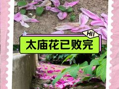 -北京市劳动人民文化宫(太庙)