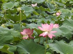 -雀儿山公园