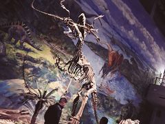 -自贡恐龙博物馆