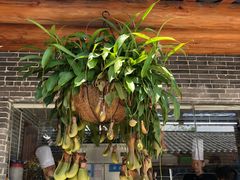 -顺德了能馆(虎门店)