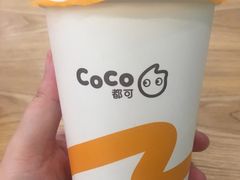 -CoCo都可(漫乐城店)