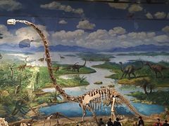 -自贡恐龙博物馆