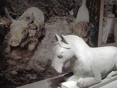 -宁夏博物馆