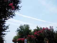 -武汉紫薇都市田园