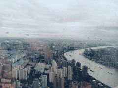 -上海柏悦酒店