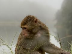 -重庆雨台山风景区