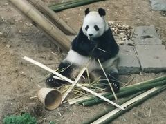 -大连森林动物园