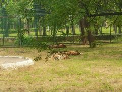 -秦皇岛野生动物园