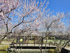 -三里河公园