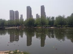 -前关湿地公园