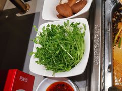 -海底捞火锅(航洋城店)