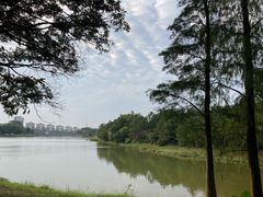-东莞植物园