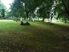 -九里河湿地公园