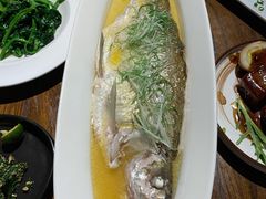 清蒸太湖白鱼-金枝玉叶上海人家食府(三里河店)