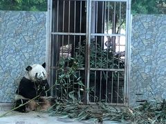 -西安秦岭野生动物园