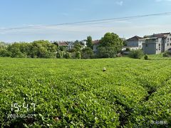 -敬亭山风景名胜区