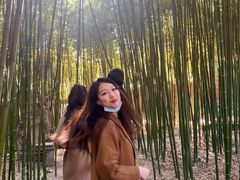 -泰山风景名胜区-普照寺