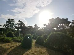 -东莞植物园