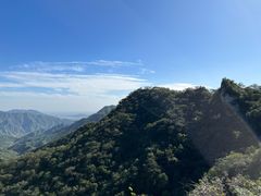 -大岭沟猕猴桃谷风景区