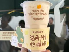 -猫的魔法密林(衣裳街店)