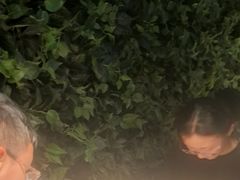 -巴厘龙虾·榜首油焖大虾(洞庭·艺术洋房店)