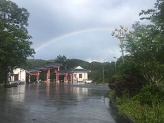 -九龙江国家森林公园