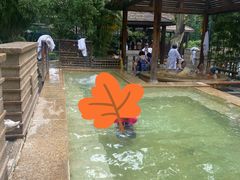 -春晖园度假酒店温泉