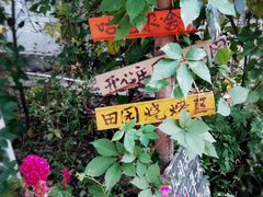 -开心庄园