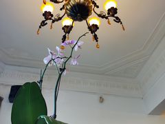 -大可堂普洱茶馆(襄阳南路馆)