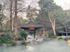 -杭州植物园