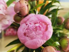 -爱乐蒙艺术·古筝 钢琴 声乐(科华校区)